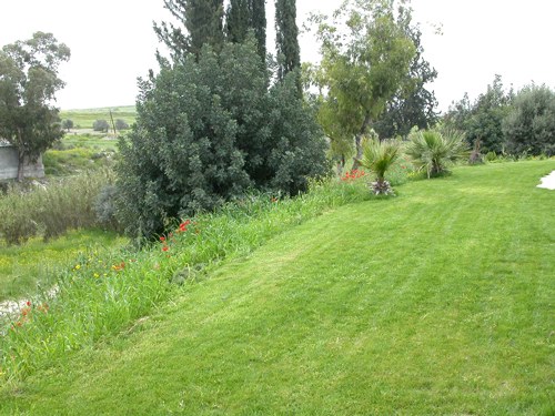 Open lawns and mature planting in the grounds of the Da Vinci Centre