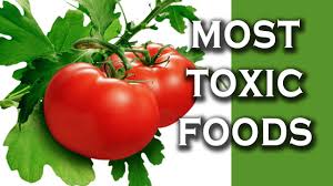 toxic foods