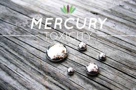mercury toxicity
